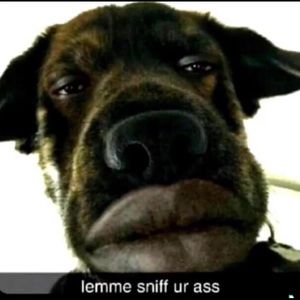 Meet your Posher, Kaden